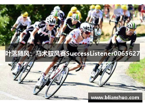 叶落随风：马术驭风赛SuccessListener0065627